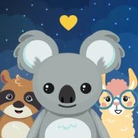 @pocketkado